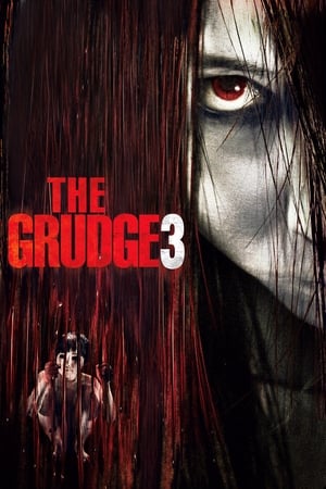 Watch The Grudge 3 (2009)