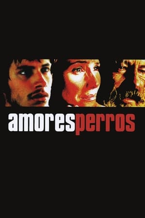 Watching Amores perros (2000)
