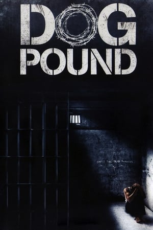 Stream Dog Pound (2010)