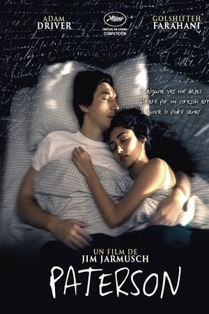 Watching Paterson (2016)