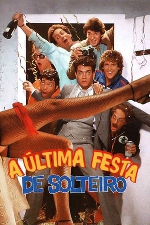 Watching A Última Festa de Solteiro (1984)