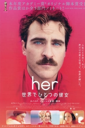 her／世界でひとつの彼女 (2013)