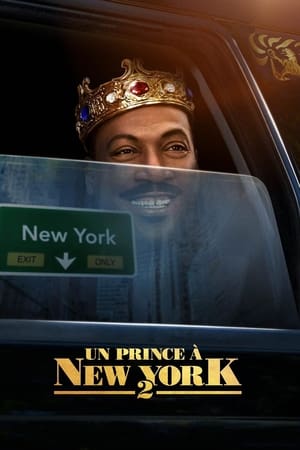 Watching Un prince à New York 2 (2021)
