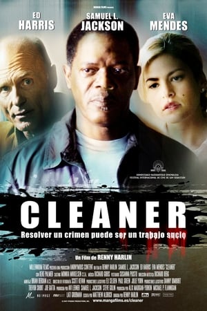 Stream Cleaner (2007)
