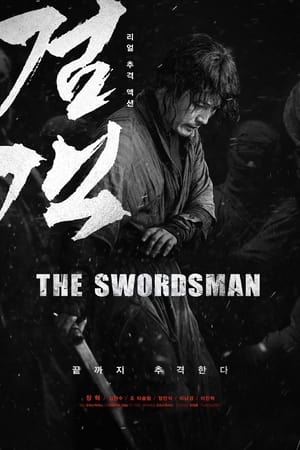 Play Online The Swordsman (2020)