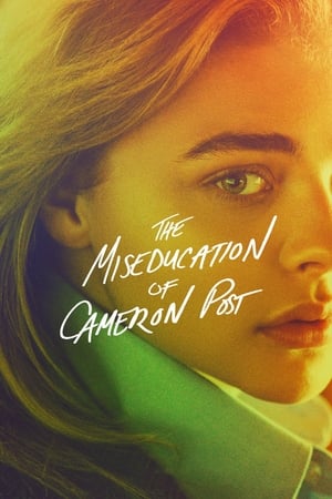 Streaming The Miseducation of Cameron Post (2018)