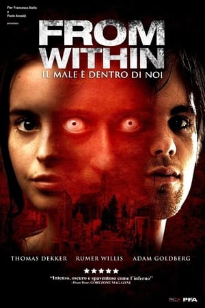 Watching From Within (2008)