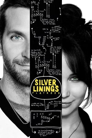 Stream Silver Linings Playbook (2012)