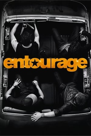 Watching Entourage (2015)