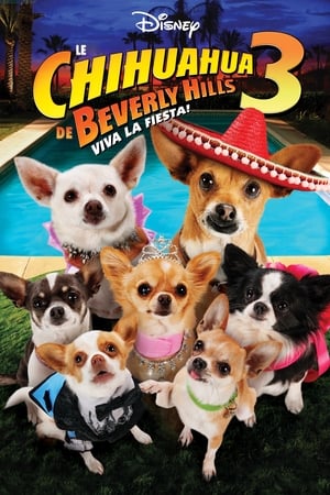 Watching Le Chihuahua de Beverly Hills 3 : Viva la Fiesta ! (2012)