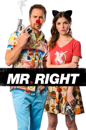Play Online Mr. Right (2016)