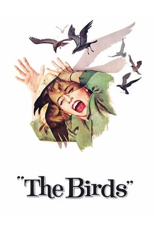 Stream The Birds (1963)