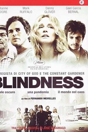 Blindness - Cecità (2008)