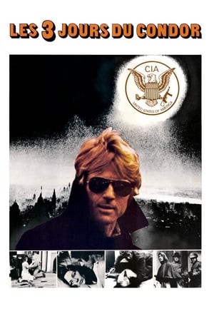 Les Trois jours du Condor (1975)