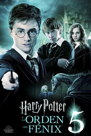 Stream Harry Potter y la Orden del Fénix (2007)