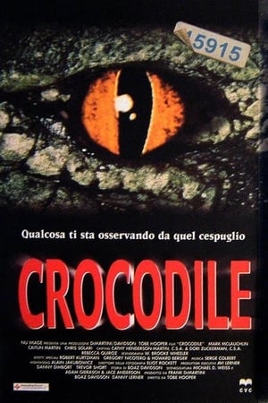 Watching Crocodile (2000)
