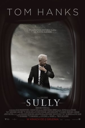 Stream Sully (2016)