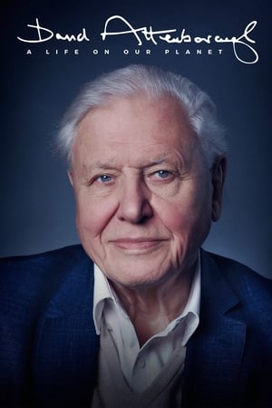 Watch David Attenborough: Una vida en nuestro planeta (2020)