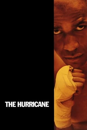 Play Online The Hurricane (1999)