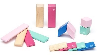 tegu wooden block pieces