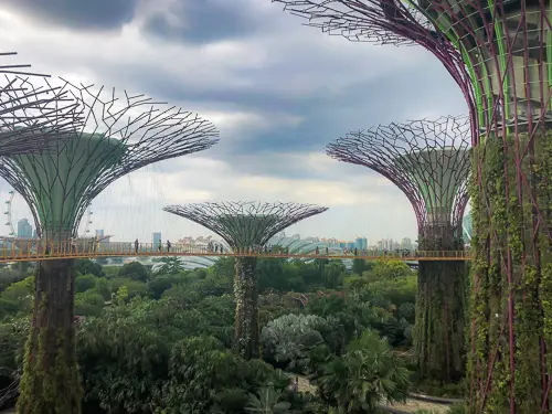  Gardens By The Bay Singapore One Day