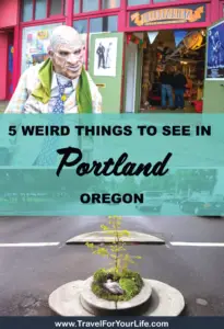 5 Weird Things To See In Portland 