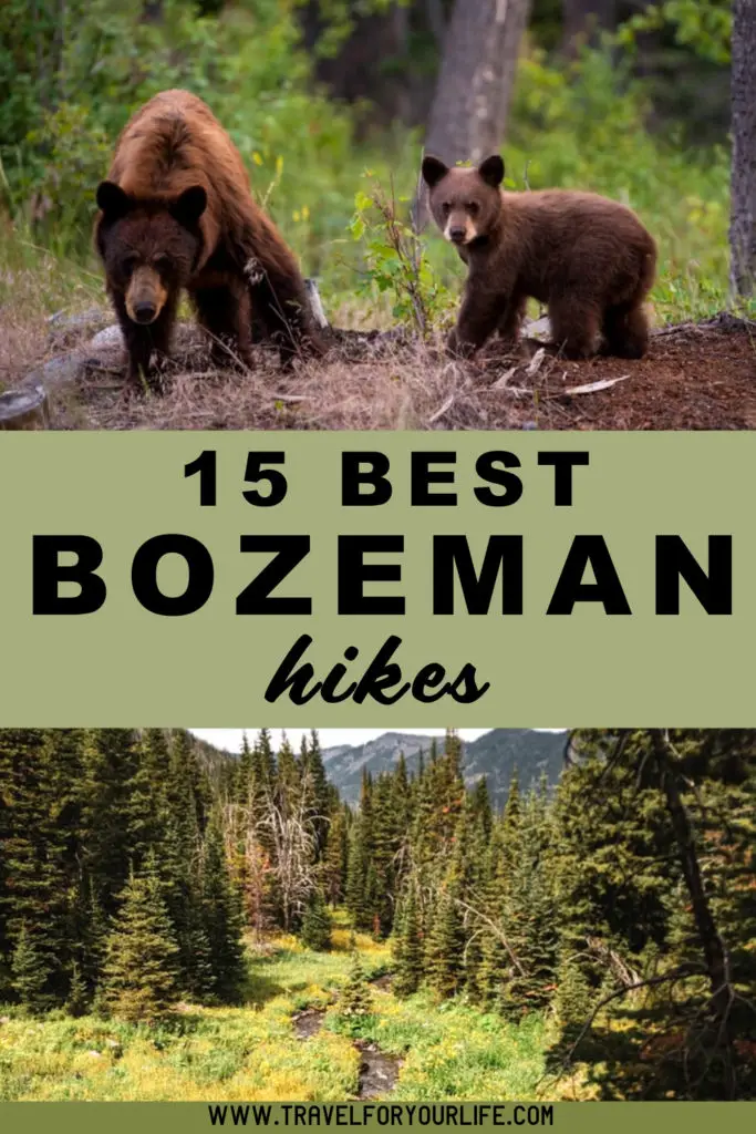 15 Best Bozeman hikes