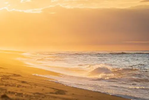 surfing-massachusetts-beach-sunset