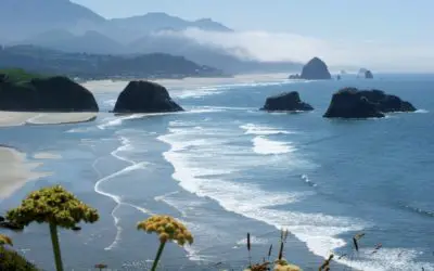 My Guide to the Best Surf Spots in Oregon