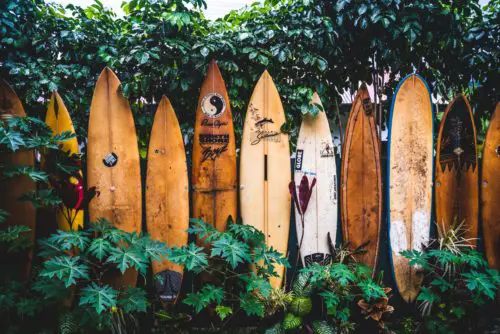 surfing-hawaii-old-boards