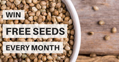 Win Free Seeds Every Month