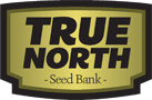 Buy Cannabis Seeds at True North Seedbank