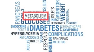 What is metabolism in hindi