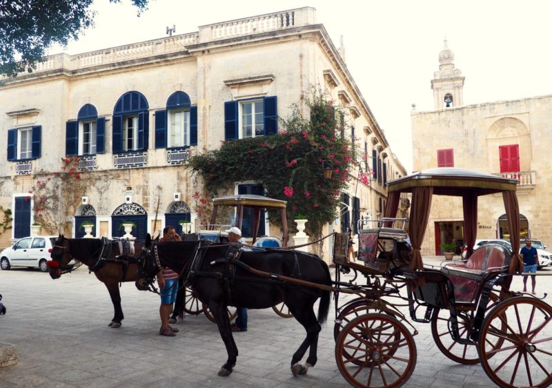 One day guide to Malta: See Mdina