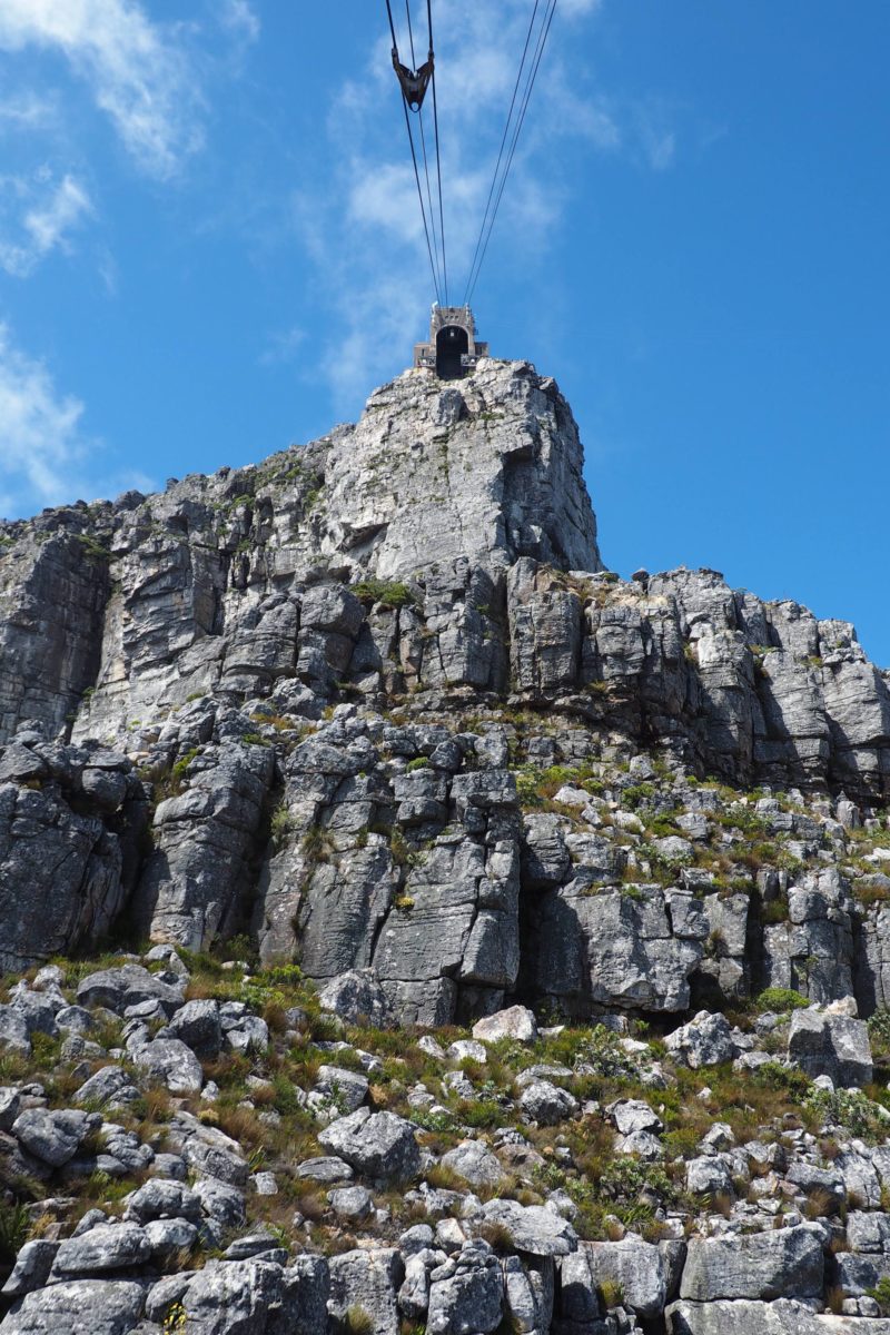 three days in Cape Town: table mountain