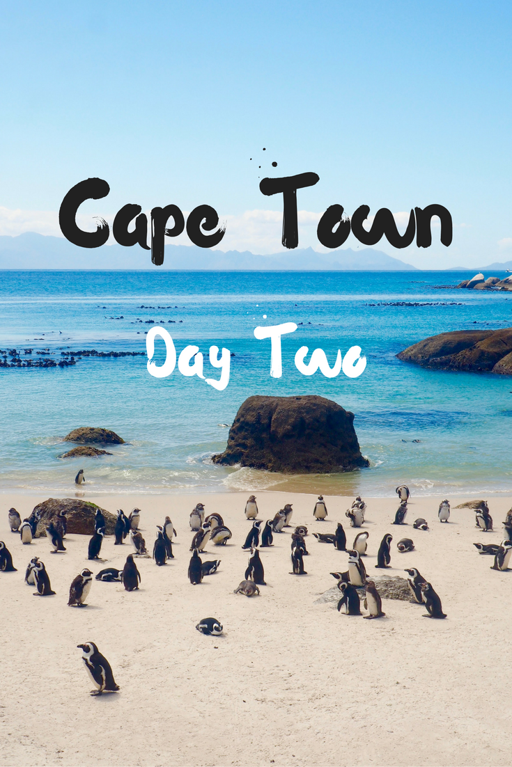 Day Two in Cape Town: Boulders Beach