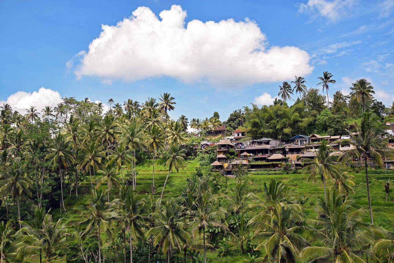 Where to find local culture in Bali: Ubud