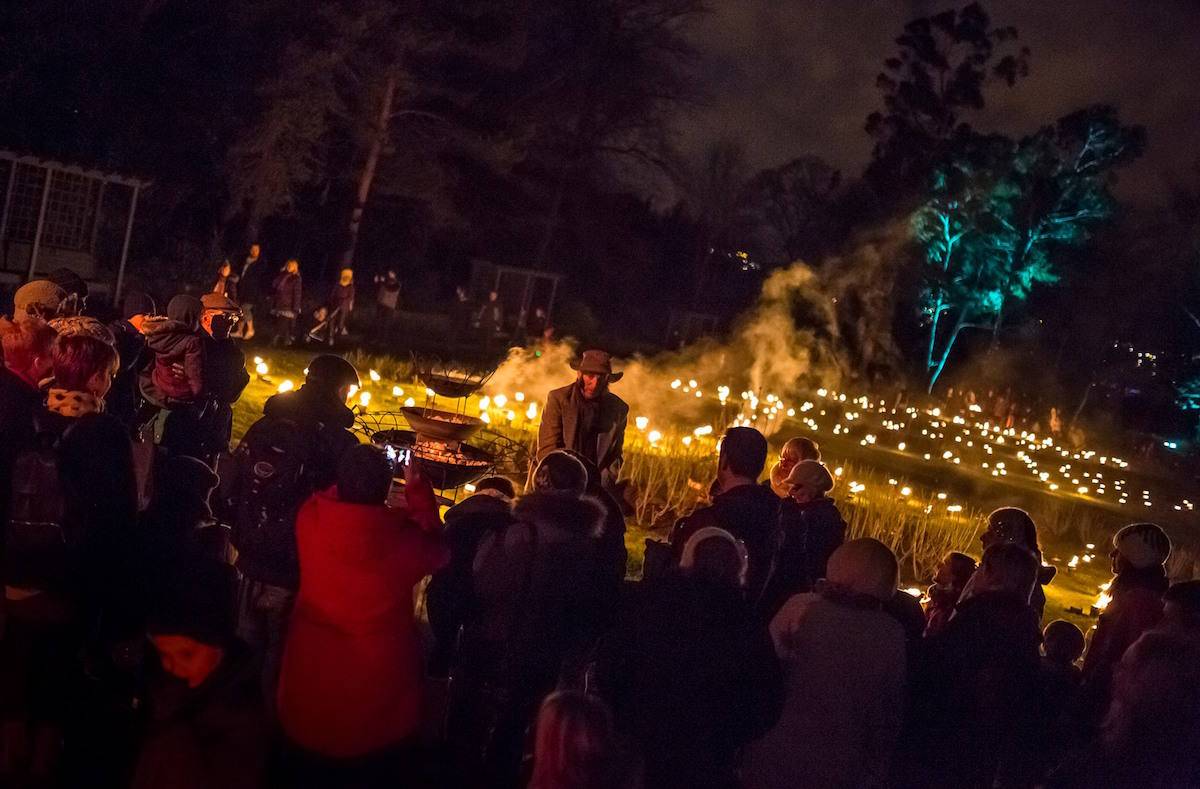 Festive things to do in Newcastle: Enchanted Parks