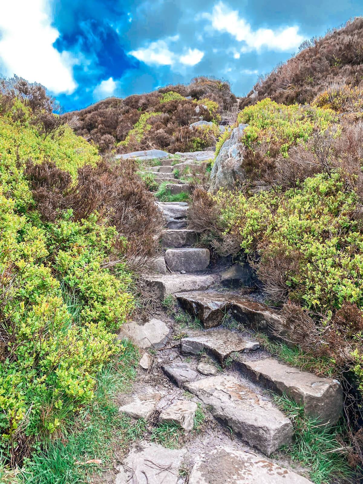 There are rough stone steps on Simonside hills
