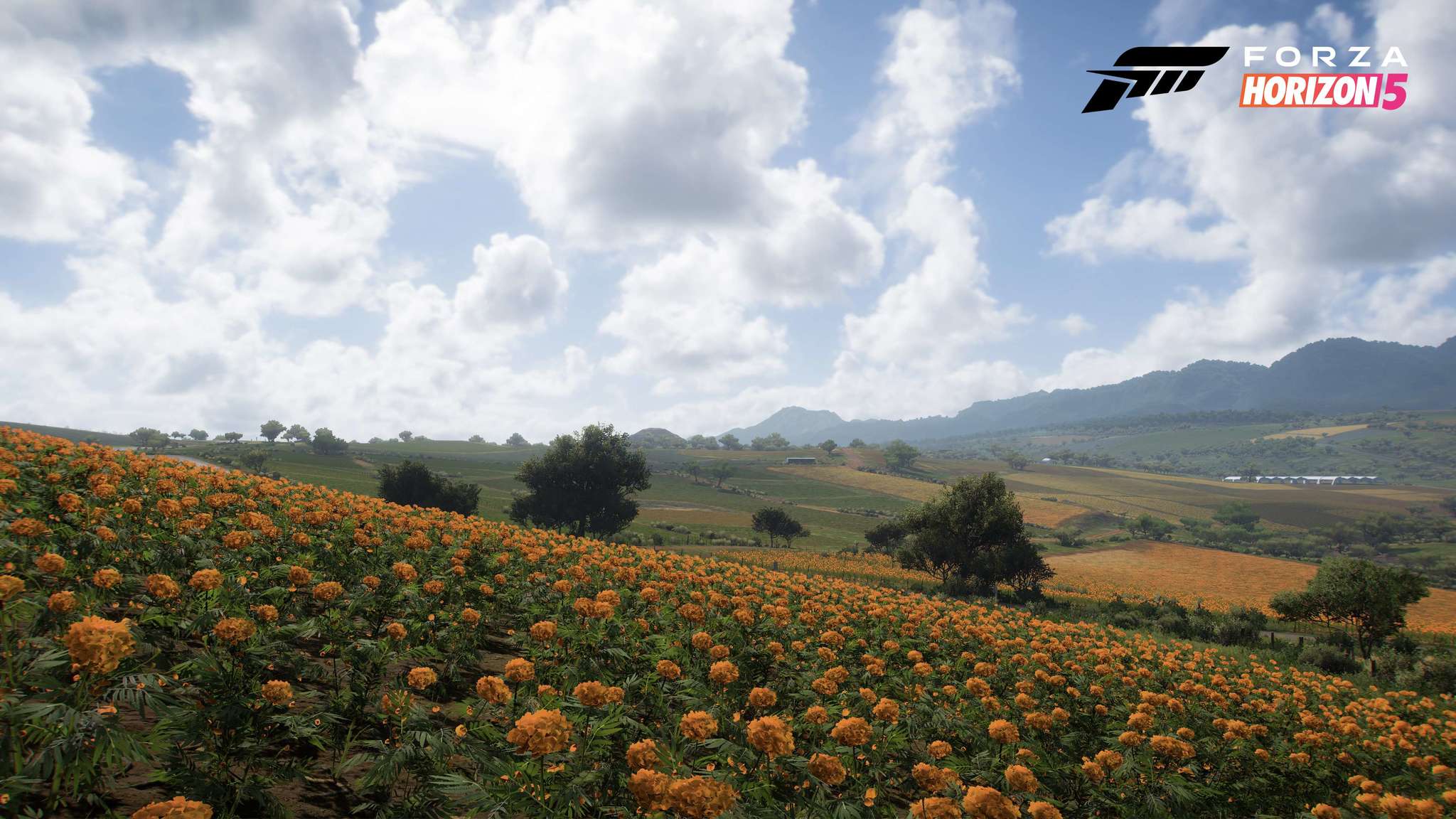 Forza Horizon 5 Biome Screenshot Farmland