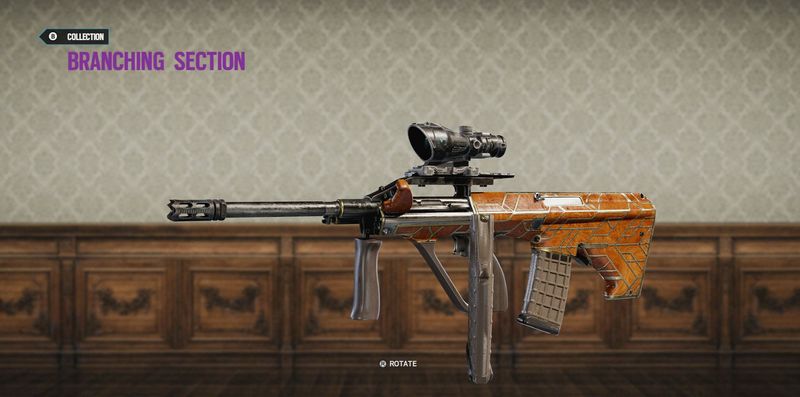 Rainbow Six Siege Branching Section for AUG A2