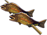 Fish-skewer.png