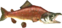 Reekfish