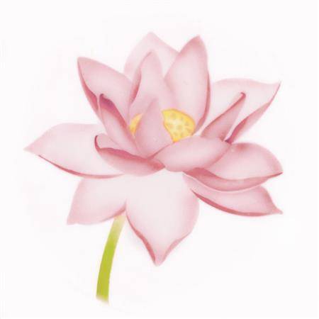 Stencil pro airbrush lotus Martellato