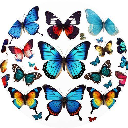 Jedlý papír motýlci 19