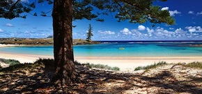 A week in Norfolk Island $879