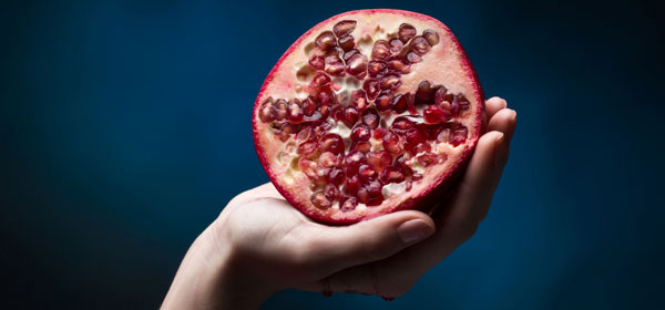 Hand holding open pomegranate against dark backrgound